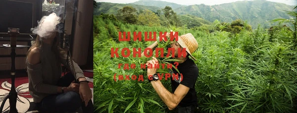 ГАЛЛЮЦИНОГЕННЫЕ ГРИБЫ Абаза